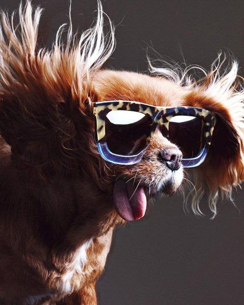 sunglasses-Karen-Walker-collection-spring-summer-2015-5