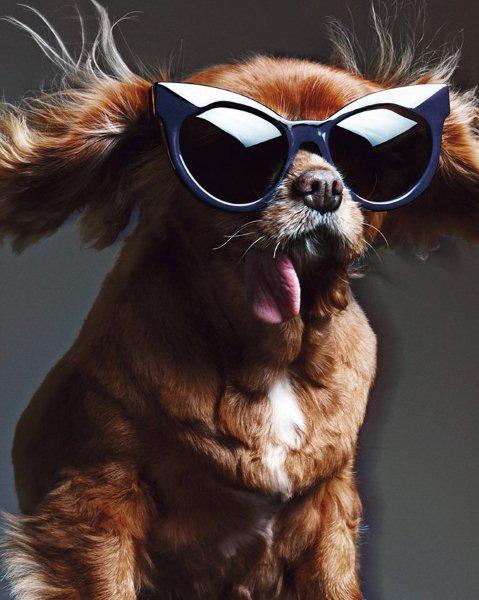 sunglasses-Karen-Walker-collection-spring-summer-2015-6