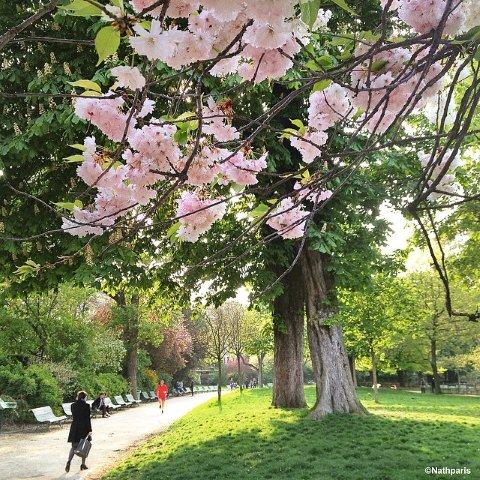 paris-4