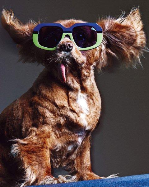 sunglasses-Karen-Walker-collection-spring-summer-2015-8