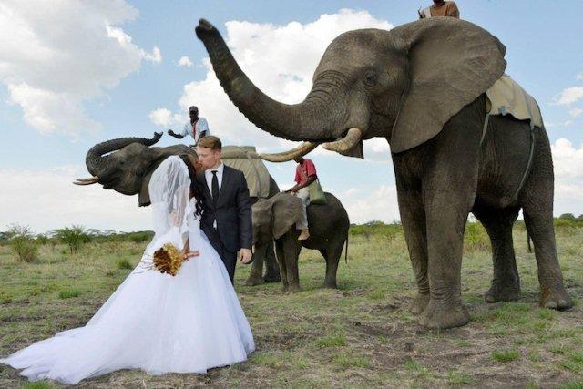 breathtaking-weddings-4