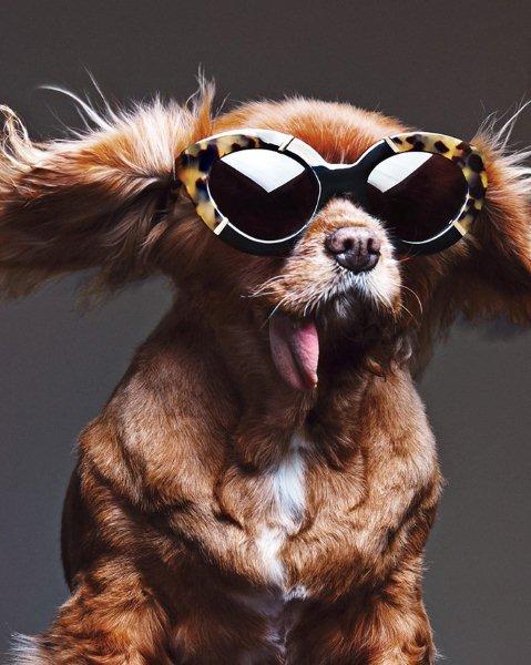 sunglasses-Karen-Walker-collection-spring-summer-2015-9