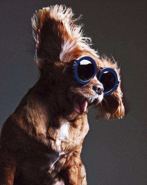 sunglasses-Karen-Walker-collection-spring-summer-2015-11