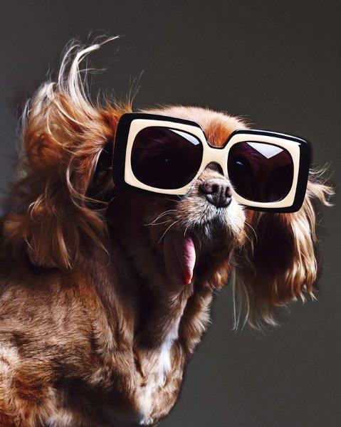 sunglasses-Karen-Walker-collection-spring-summer-2015-13