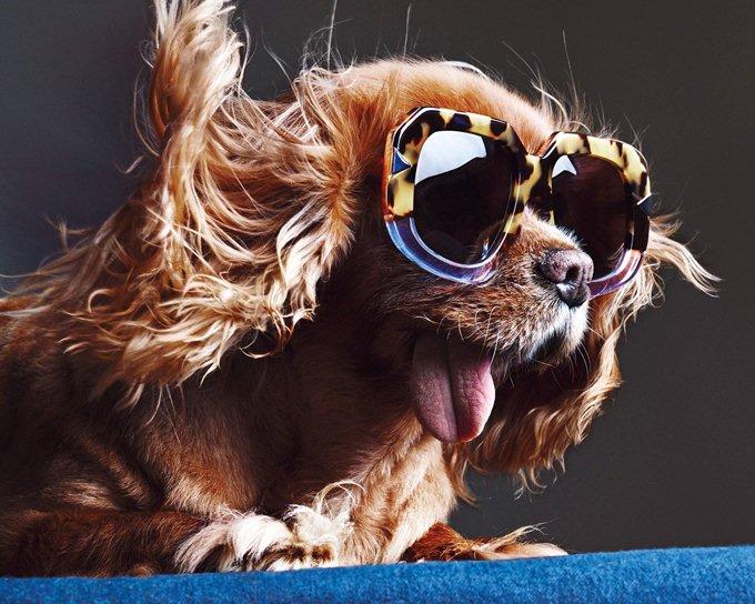 sunglasses-Karen-Walker-collection-spring-summer-2015-14