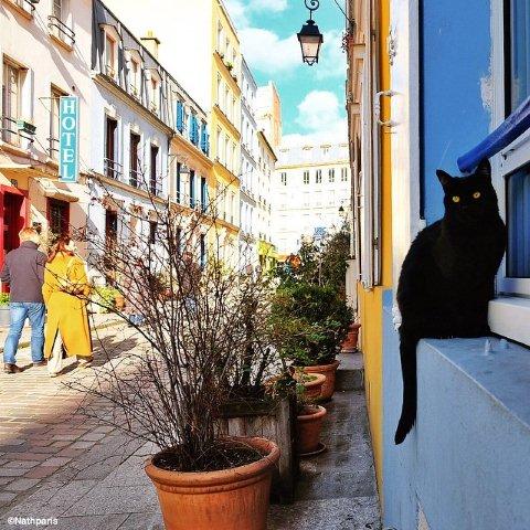 paris-7