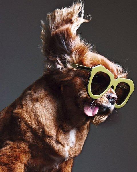 sunglasses-Karen-Walker-collection-spring-summer-2015-3