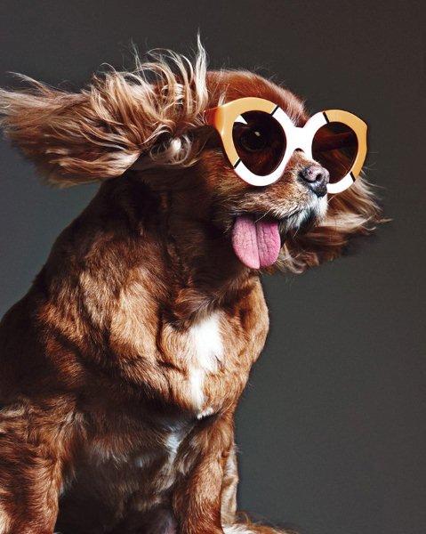 sunglasses-Karen-Walker-collection-spring-summer-2015-2