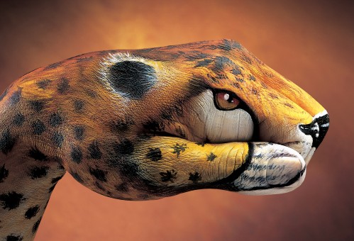 hand5