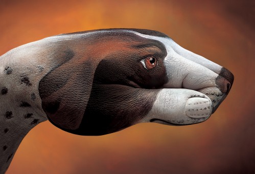 hand6