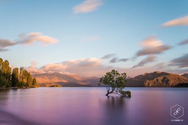 new-zealand-15