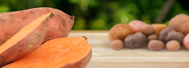 sweetpotatoes-2