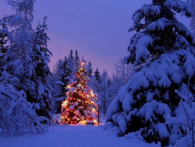 Holiday-spirit-8