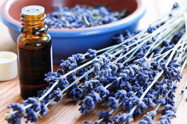 lavender-2