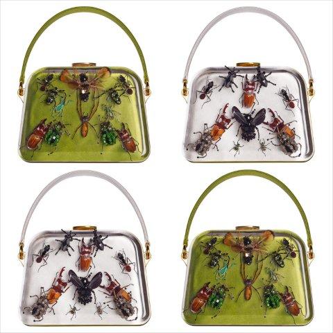 entomology2