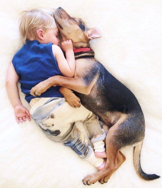 The-history-one-toddler-with-his-puppy3
