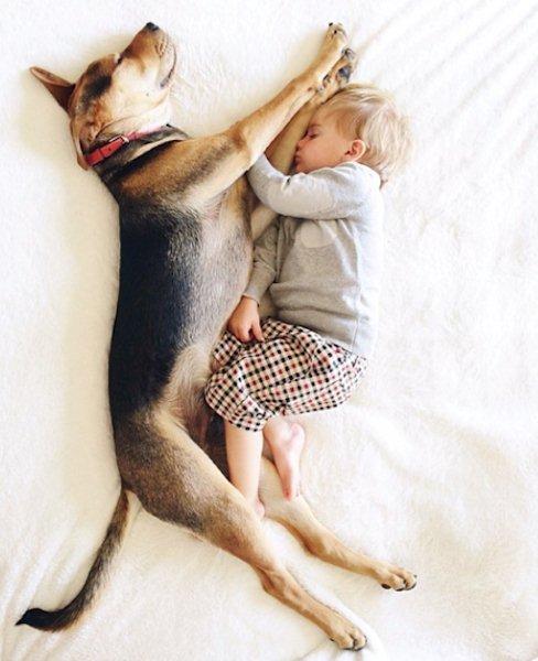 The-history-one-toddler-with-his-puppy5