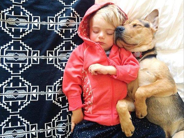 The-history-one-toddler-with-his-puppy11