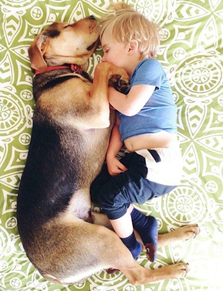 The-history-one-toddler-with-his-puppy7