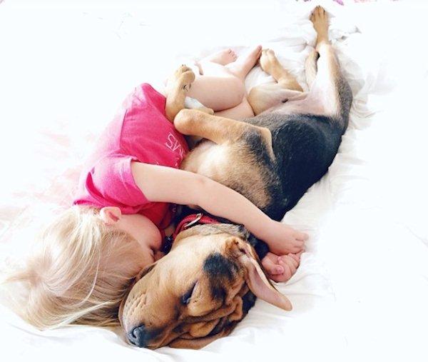 The-history-one-toddler-with-his-puppy10