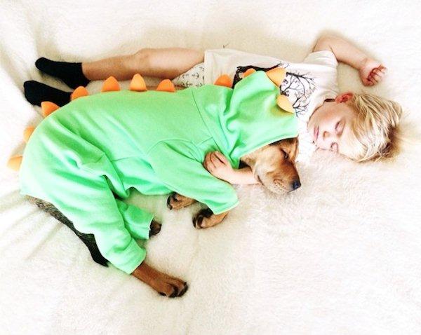 The-history-one-toddler-with-his-puppy14