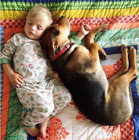 The-history-one-toddler-with-his-puppy12