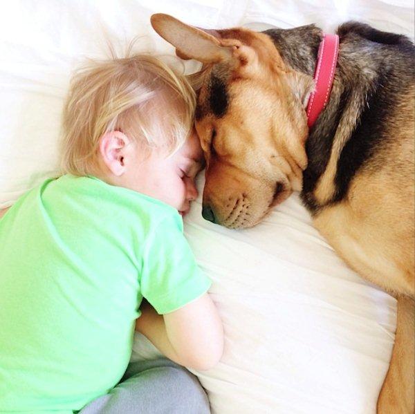 The-history-one-toddler-with-his-puppy13