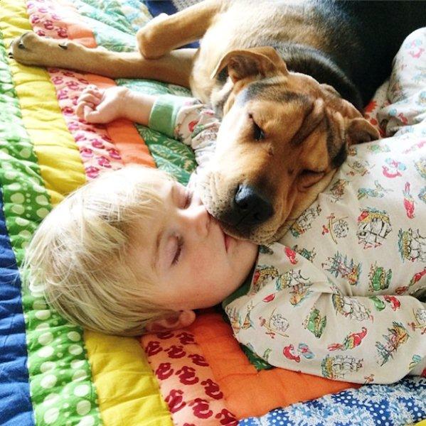 The-history-one-toddler-with-his-puppy9
