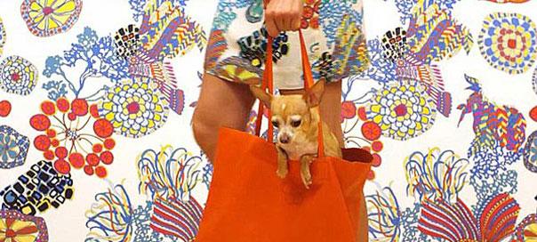 Banana_Republic_cover