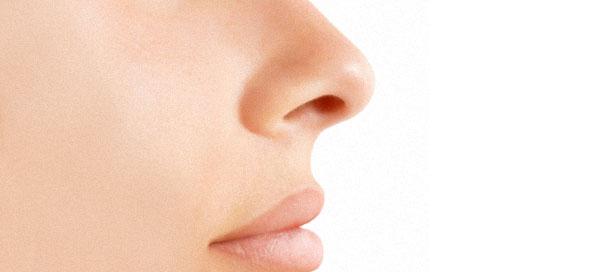nose
