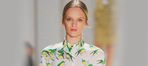 fashion birds