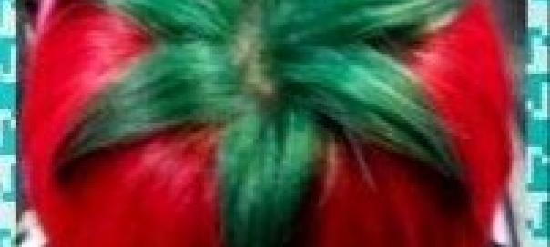 tomato1