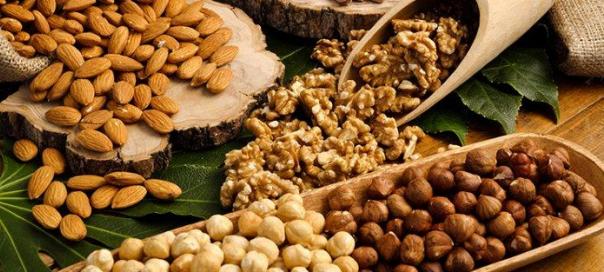 vegetable-proteins-1