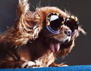 sunglasses-Karen-Walker-collection-spring-summer-2015-1