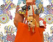 Banana_Republic_cover