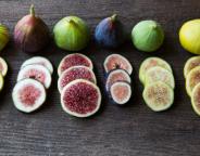 figs-1
