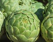 artichote-1