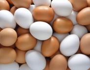 nutritional-value-of-egg-1