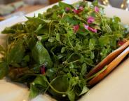 wild-greens-1