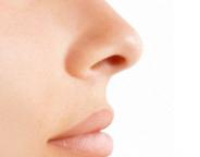 nose