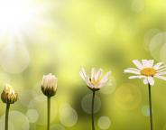 ressilence-1