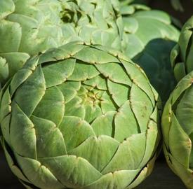 artichote-1