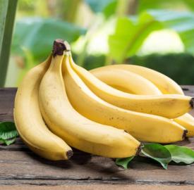 banana-1