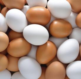nutritional-value-of-egg-1