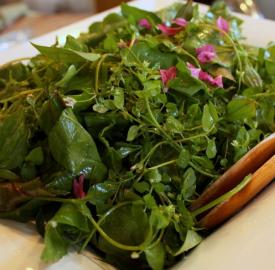 wild-greens-1