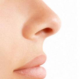 nose