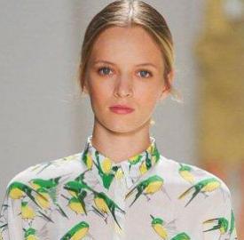 fashion birds